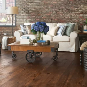 Dark toned hardwood flooring in living room | Petersen's Carpet & Flooring